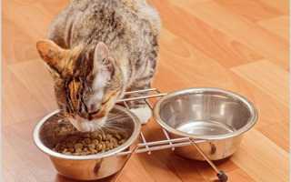 Корм для стерилизованных кошек и кастрированных котов
