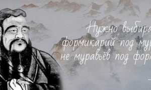 Муравьиная ферма: плюсы и минусы формикария